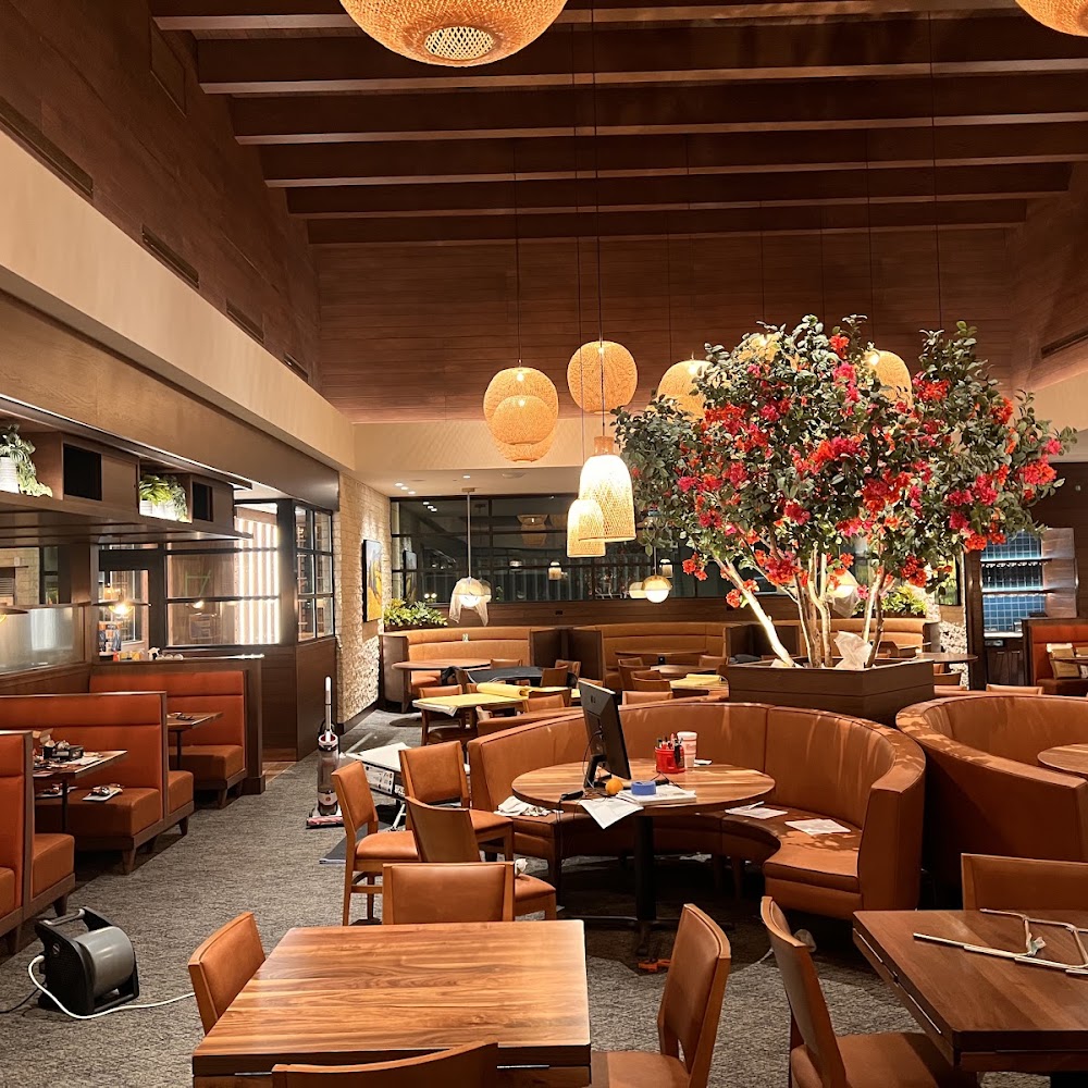 Seasons 52