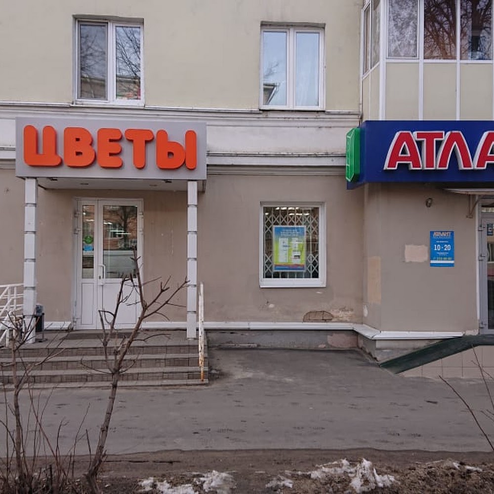 Новые цветы