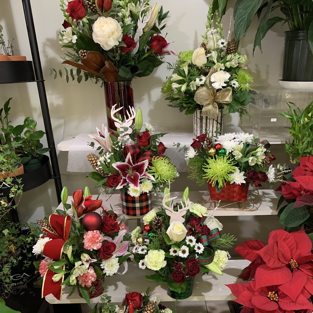 Stephanie's Flowers