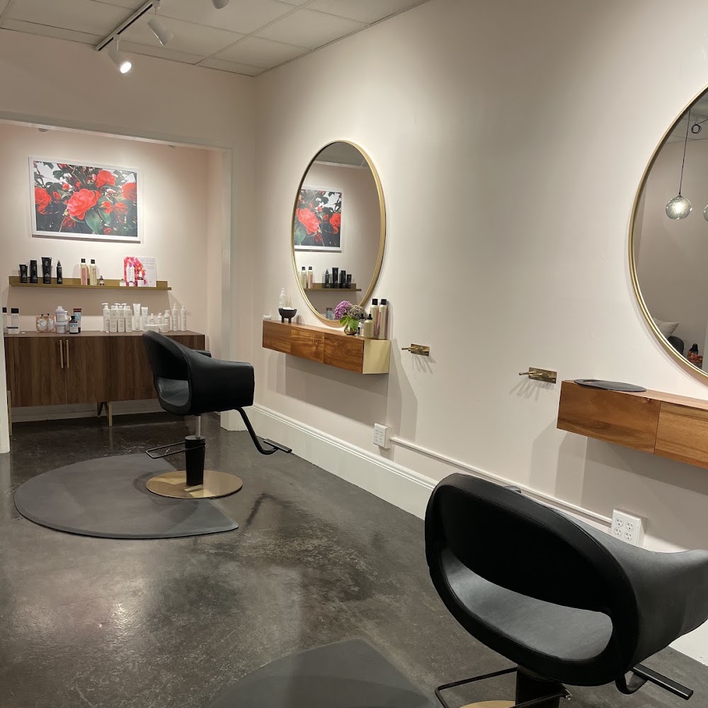 camellia salon