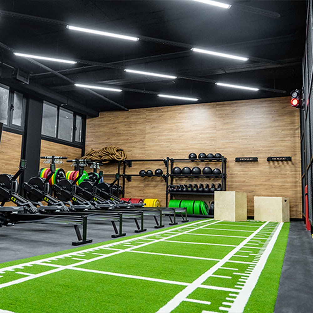 Medion Sport