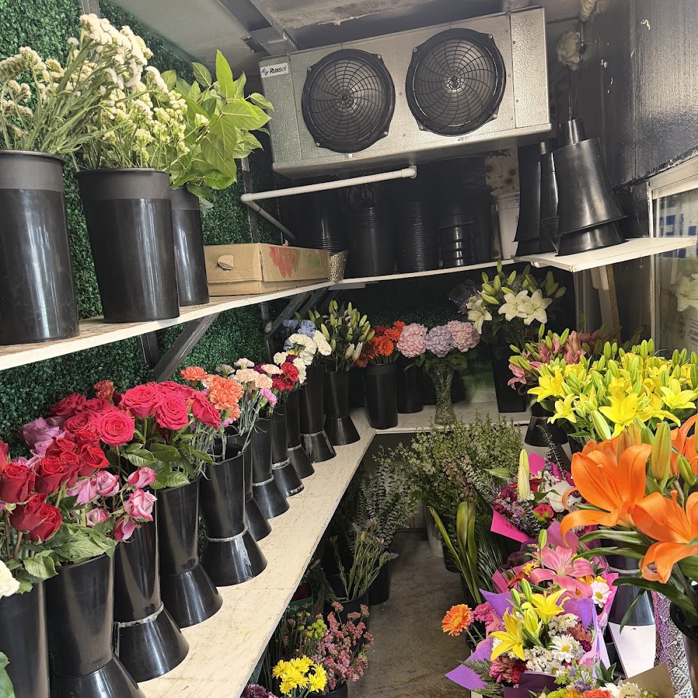 Divine Flower Shop