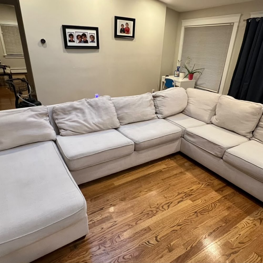 Boston sofa cleaning