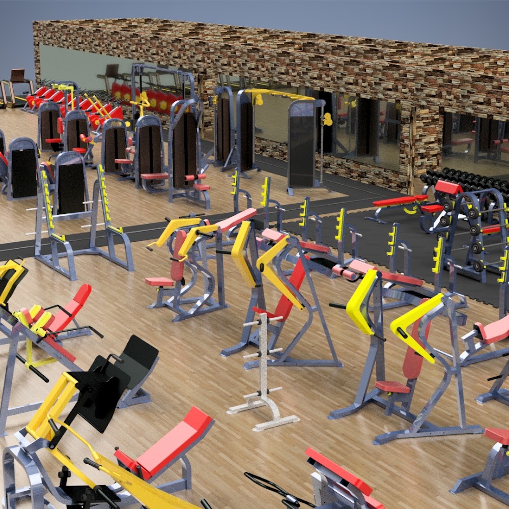 Alpha Sport Sergely gym | Шоурум ALPHA SPORT TECHNOLOGY