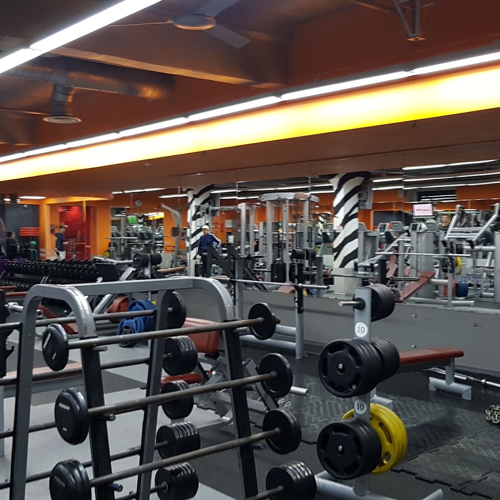 Фитнес-центр Zebra Fitness