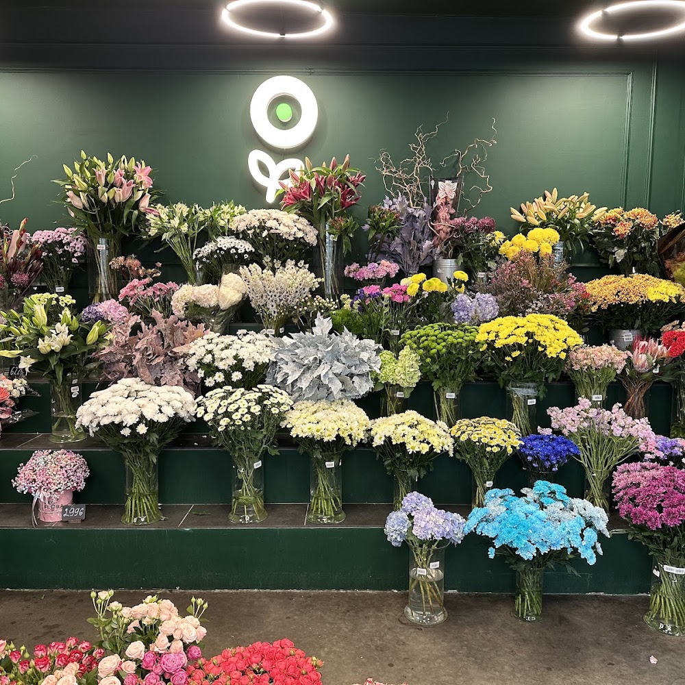NEO FLORA