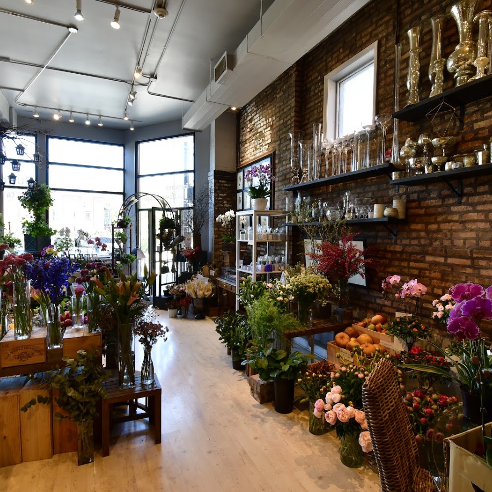 Bunches (A Flower Shop) & Chicago Flower Delivery