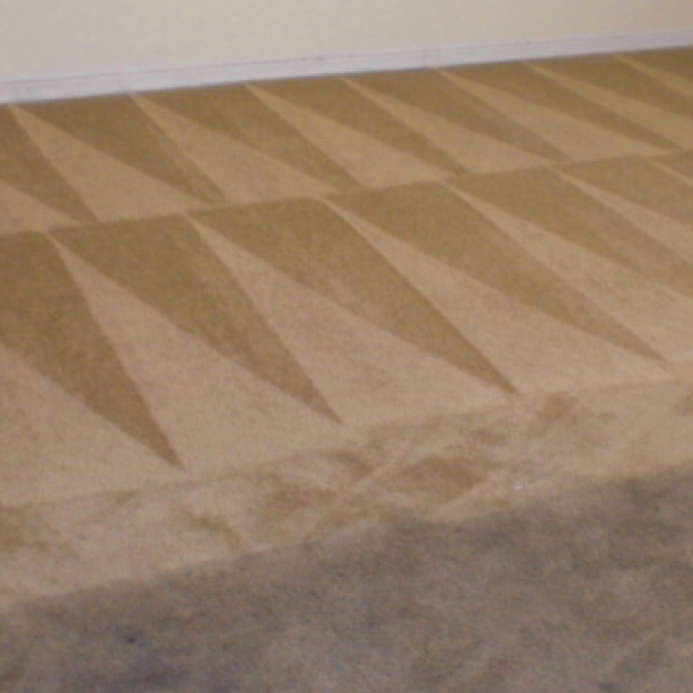 Carpet & Upholstery Cleaning Las Vegas | Eco Clean