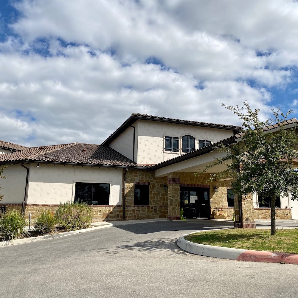 The Pineapple School - Stone Oak