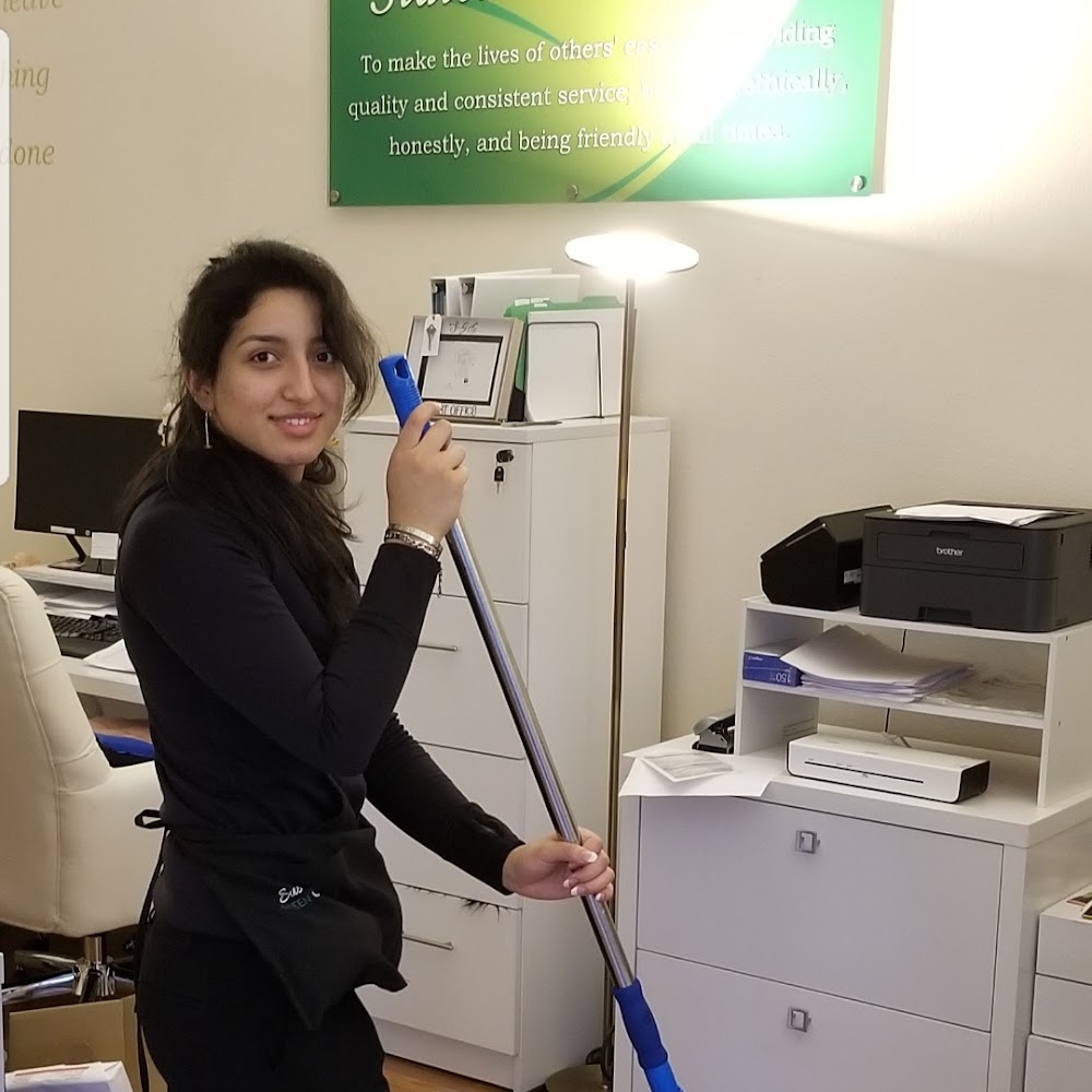 Susan's Green Cleaning