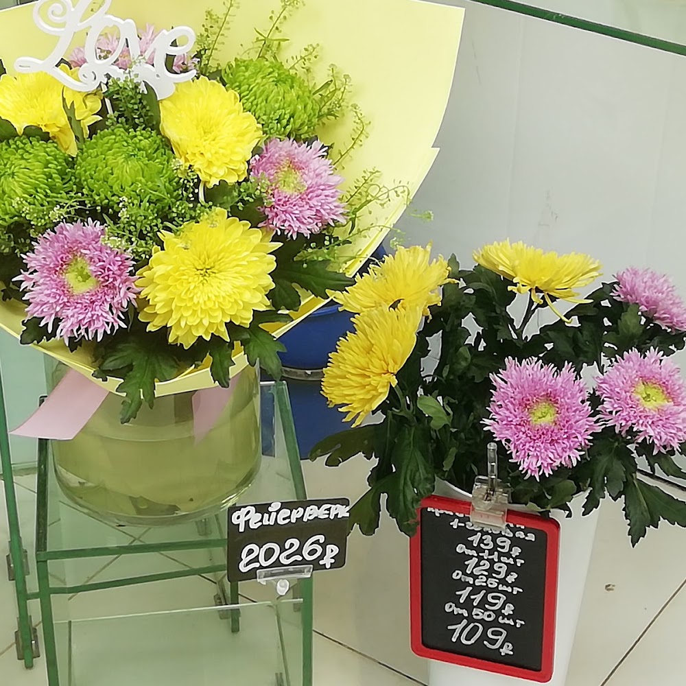 MegaFlowers