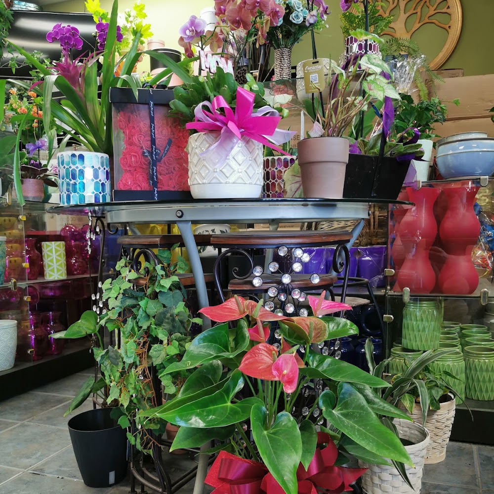 Eden Flowers & Gifts