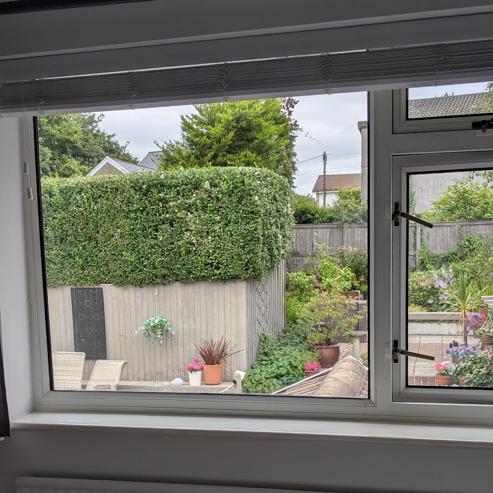 Simply Misted Windows