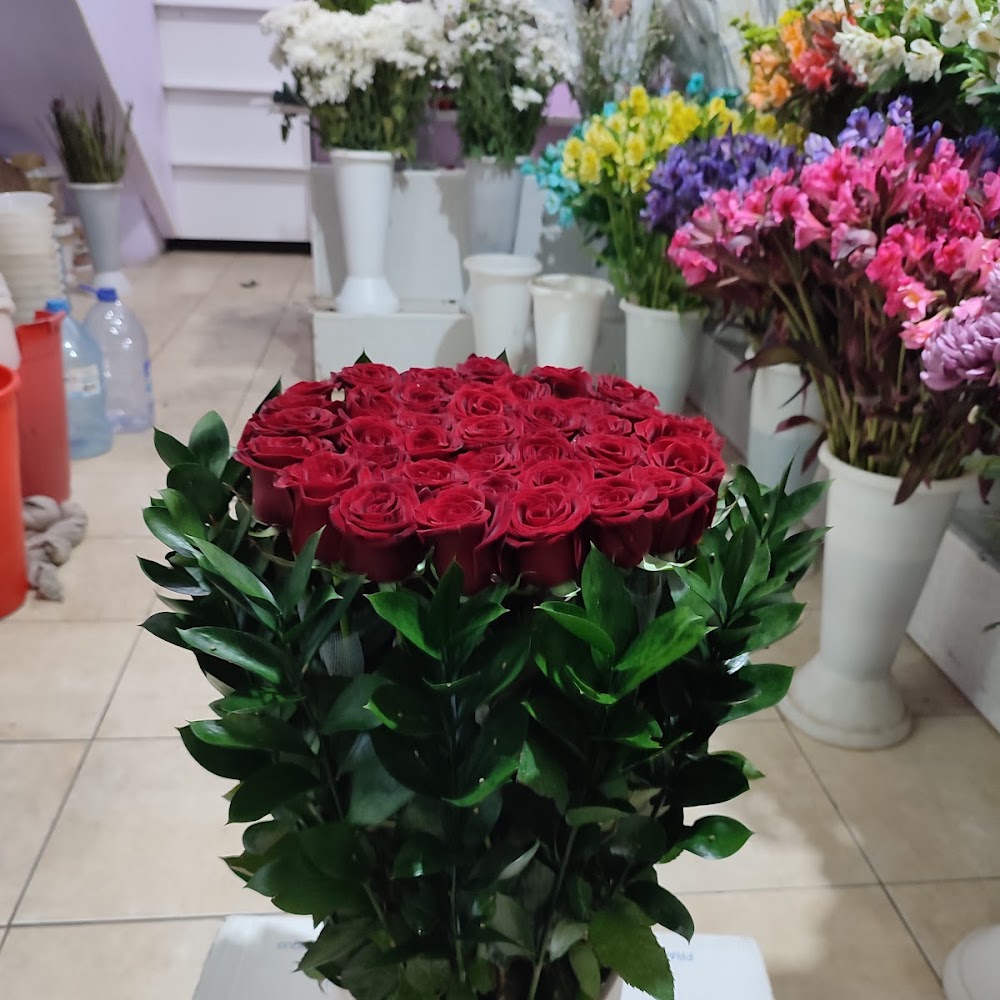 Sherose
