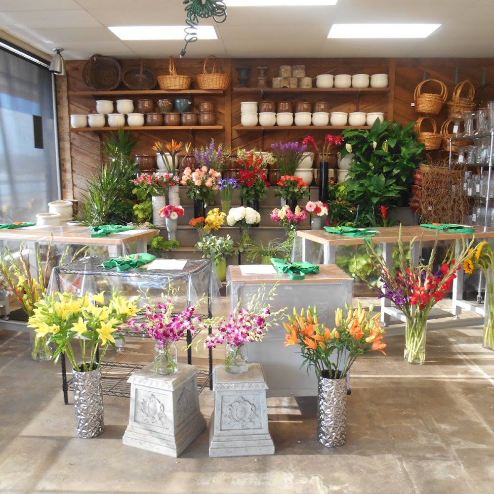 Petals & Stems Florist