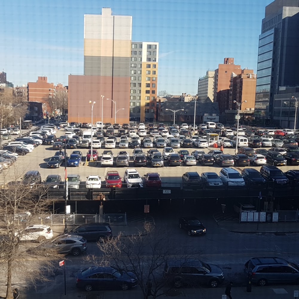 Municipal Parking Field