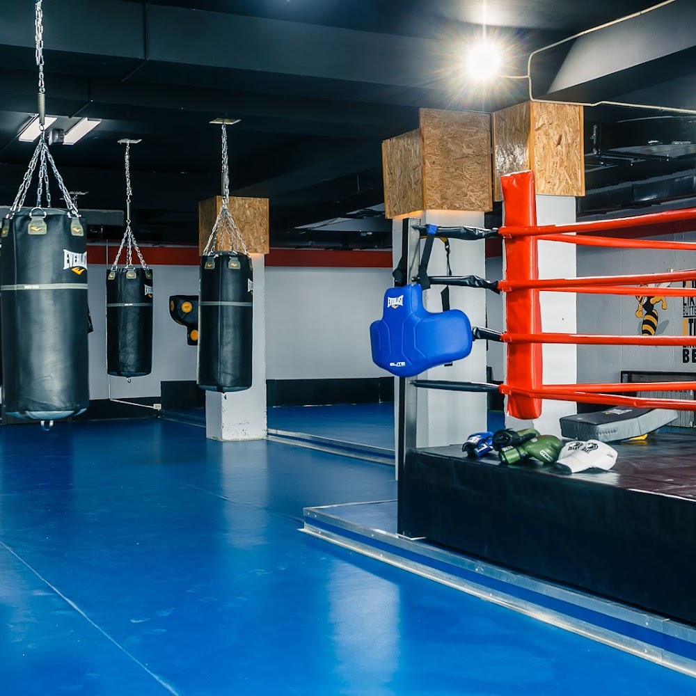Rocky Boxing Club