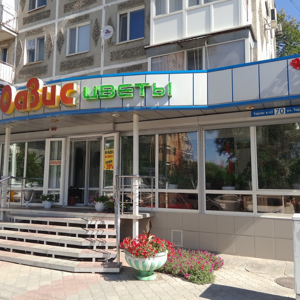 Оазис