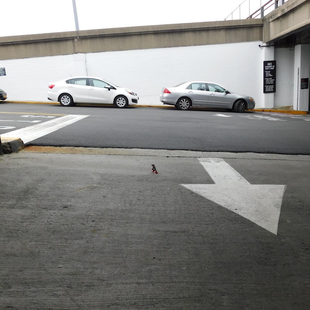 Pier 40 Parking