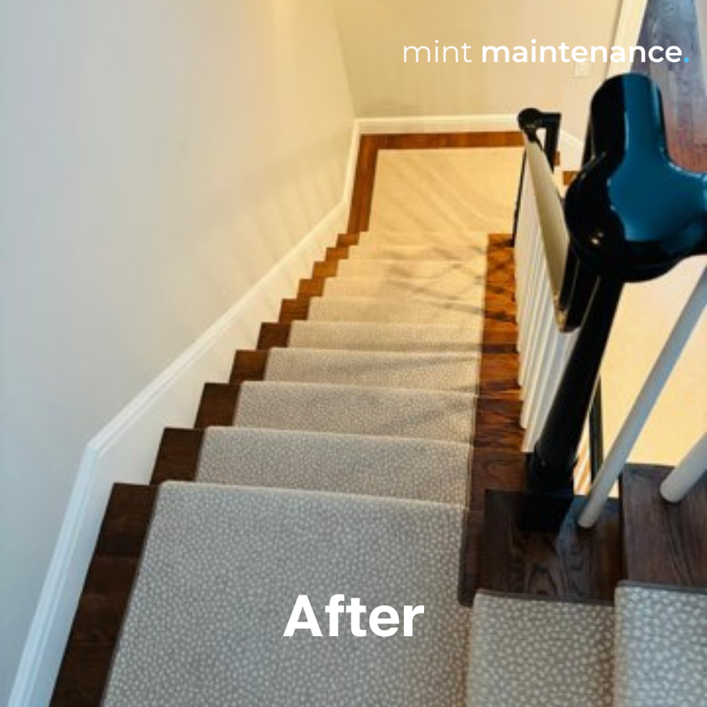 Mint Maintenance