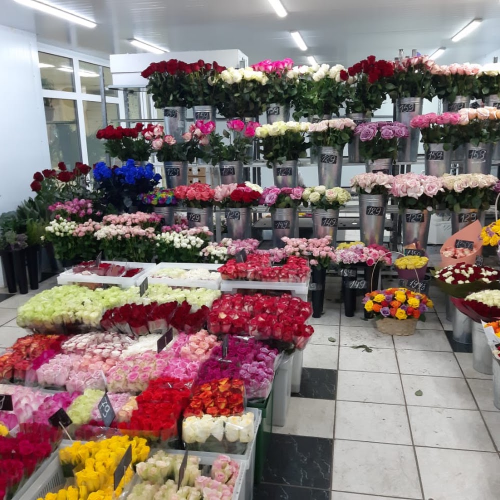База Цветов 24.ру
