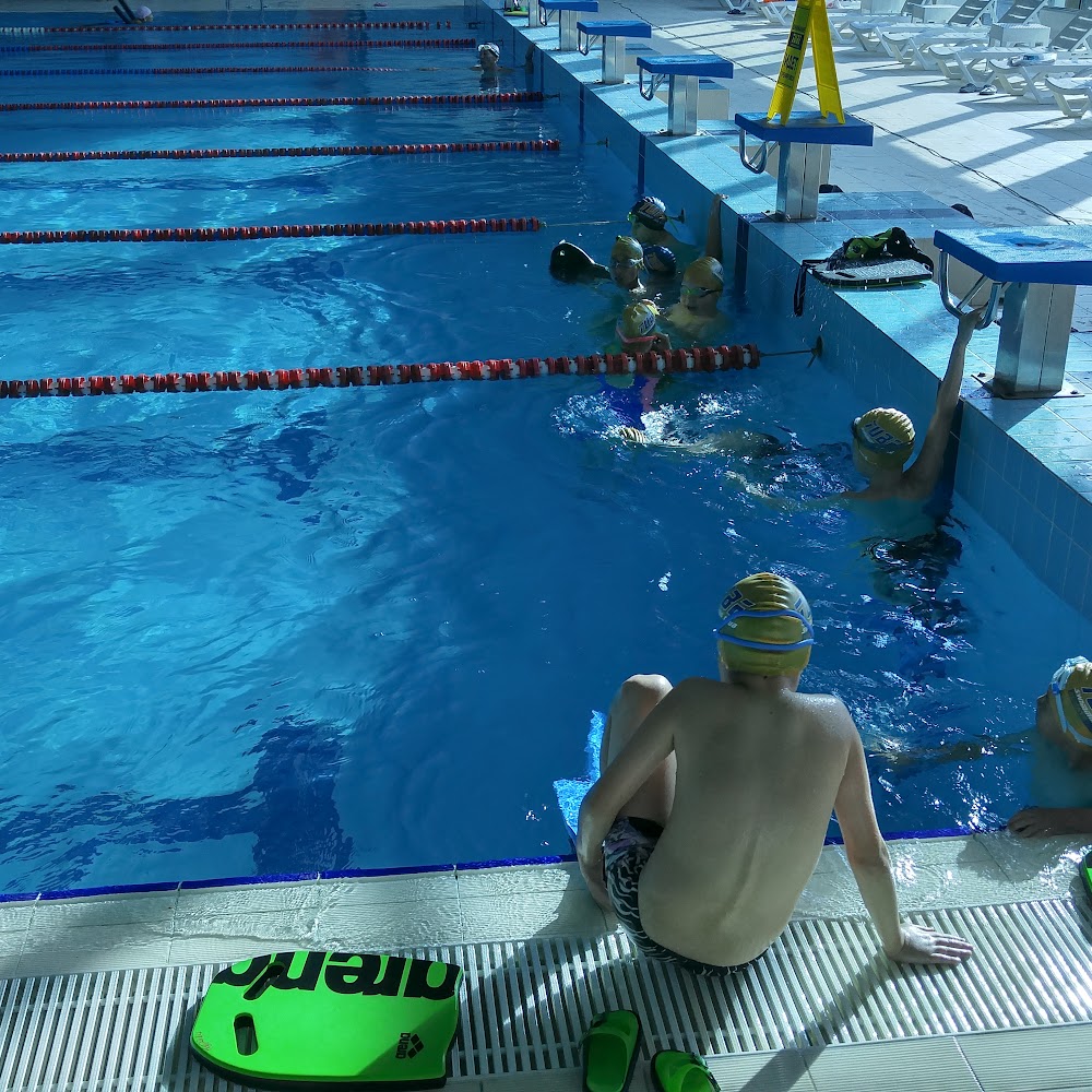 TUBE swim club