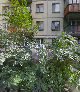 Гипермаркет автозапчастей