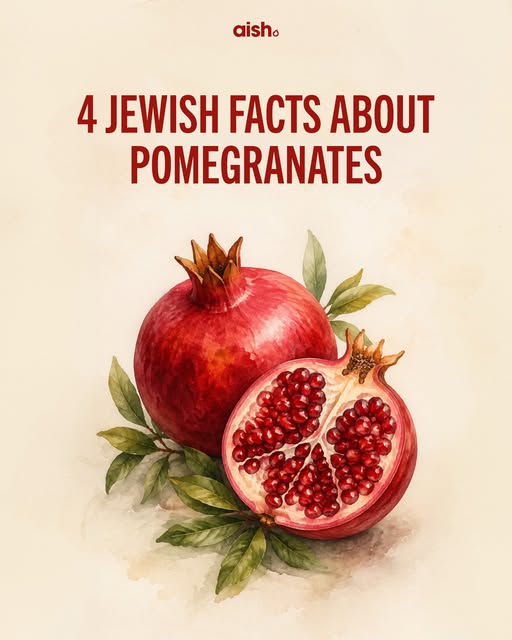 Comment "pom" for more pomegranate facts! 

From the Bible and the Temple to ancient Jewish coins and modern Israeli culture, the pomegra…