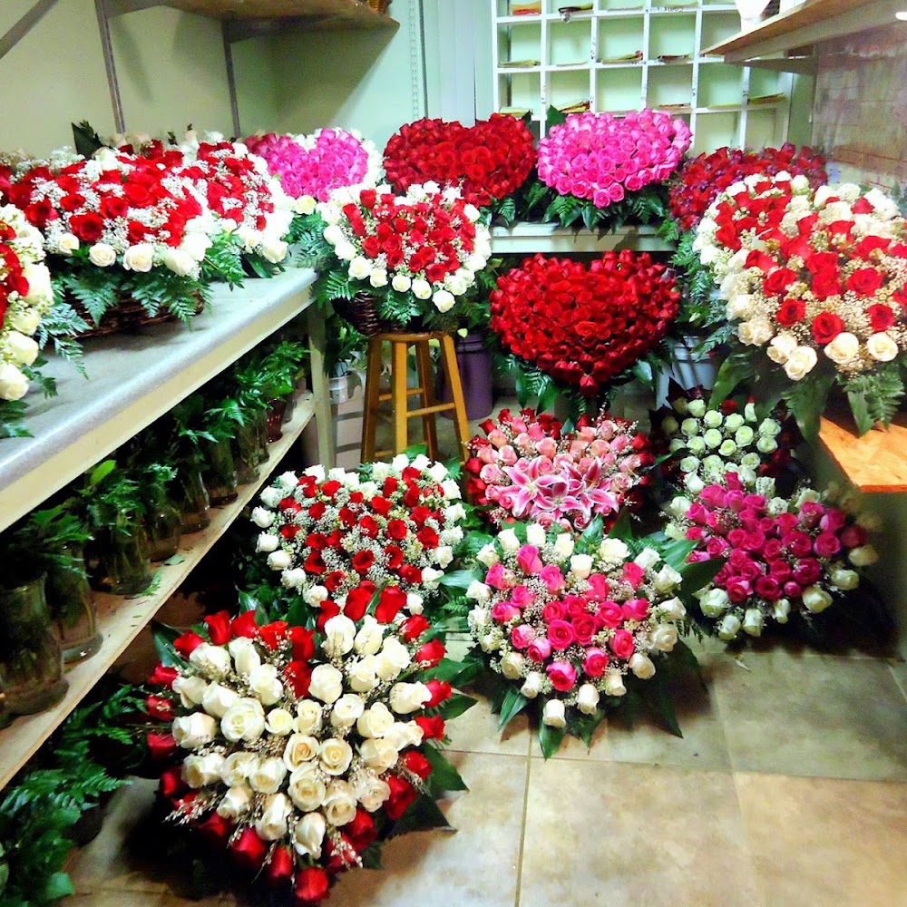 La Flor Del Valle