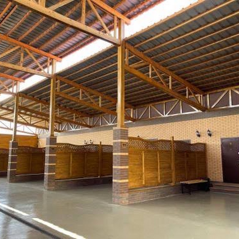 JETISY COMPLEX
