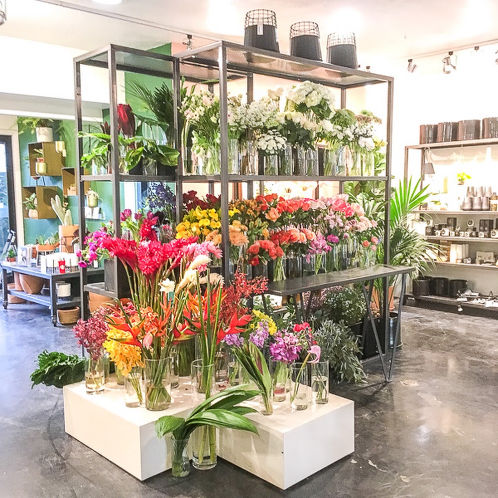 Green Fresh Florals + Plants