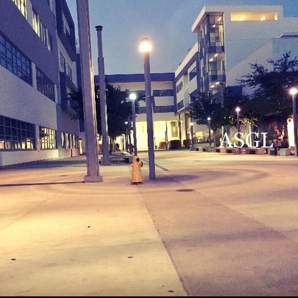 New Open World Academy