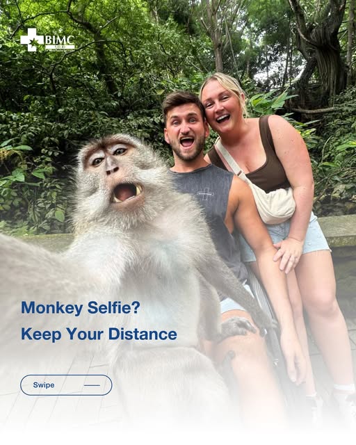 Plot twist: The monkeys in Ubud don't want to be influencer stars! Getting too close for photos often ends in sudden bites or scratches. Ba…