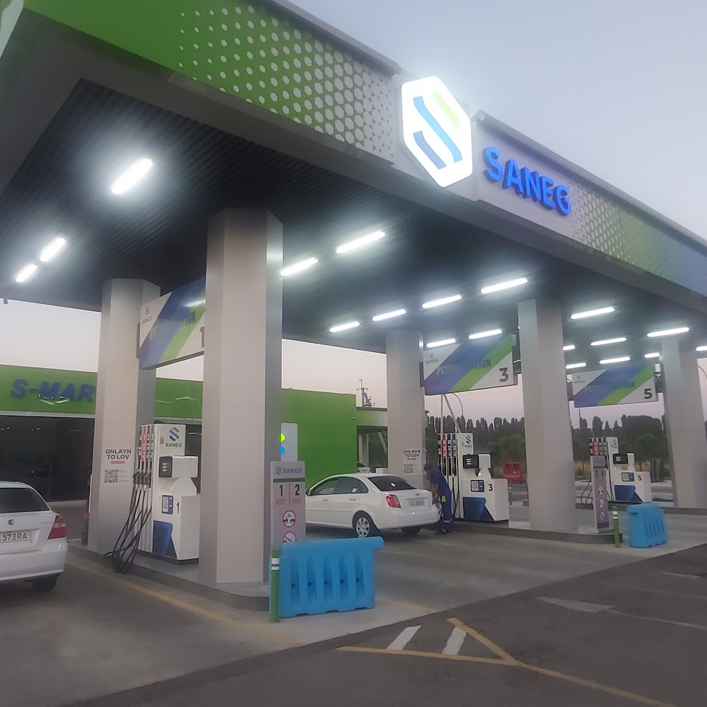 SANEG SMART AYOQSH
