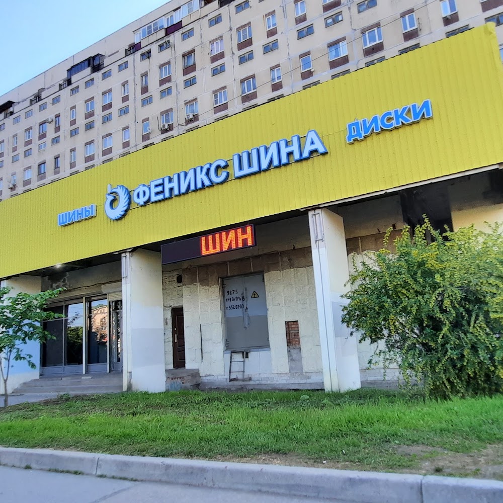 Феникс Шина