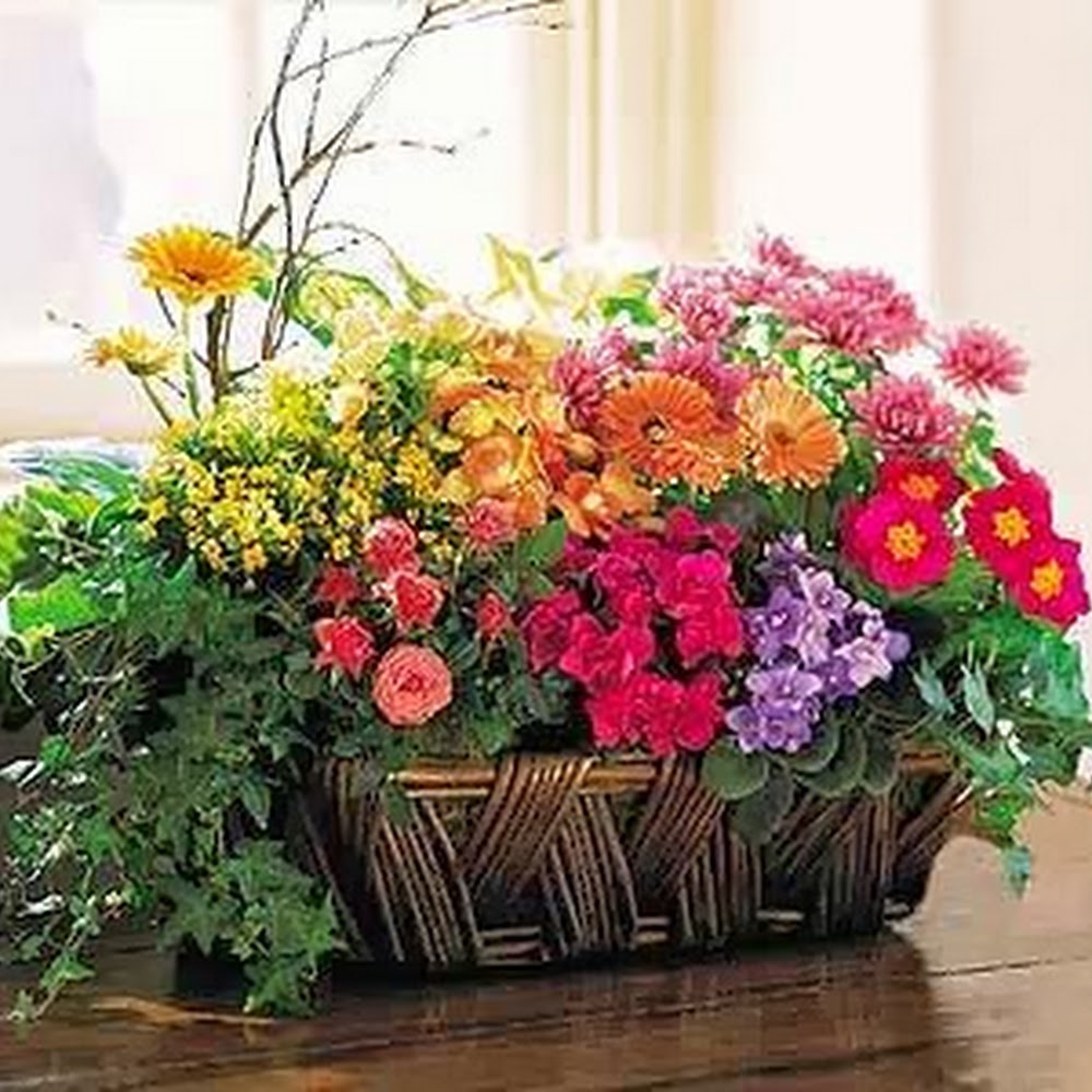 Dallas Flower Florist