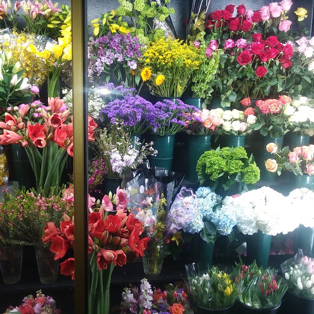 Madison Avenue Florist