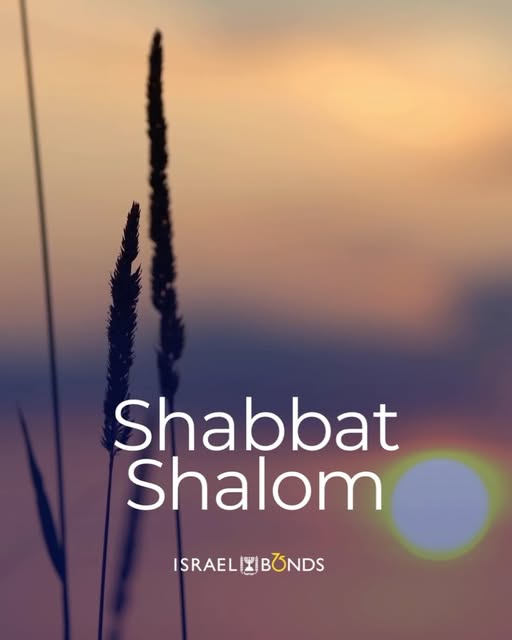 As we approach the last Shabbat of 5786, we reflect on a year of strength, resilience, and unwavering connection to Israel. May the year…