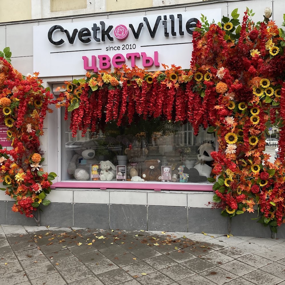CvetkovVille