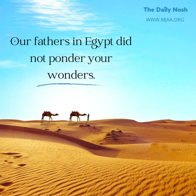 www.mjaa.org
The Daily Nosh by Joel Chernoff: Our fathers in Egypt did not ponder your wonders. Nor did they remember your abundant lovin…