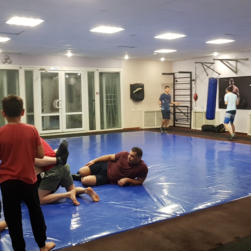 TITAN GYM