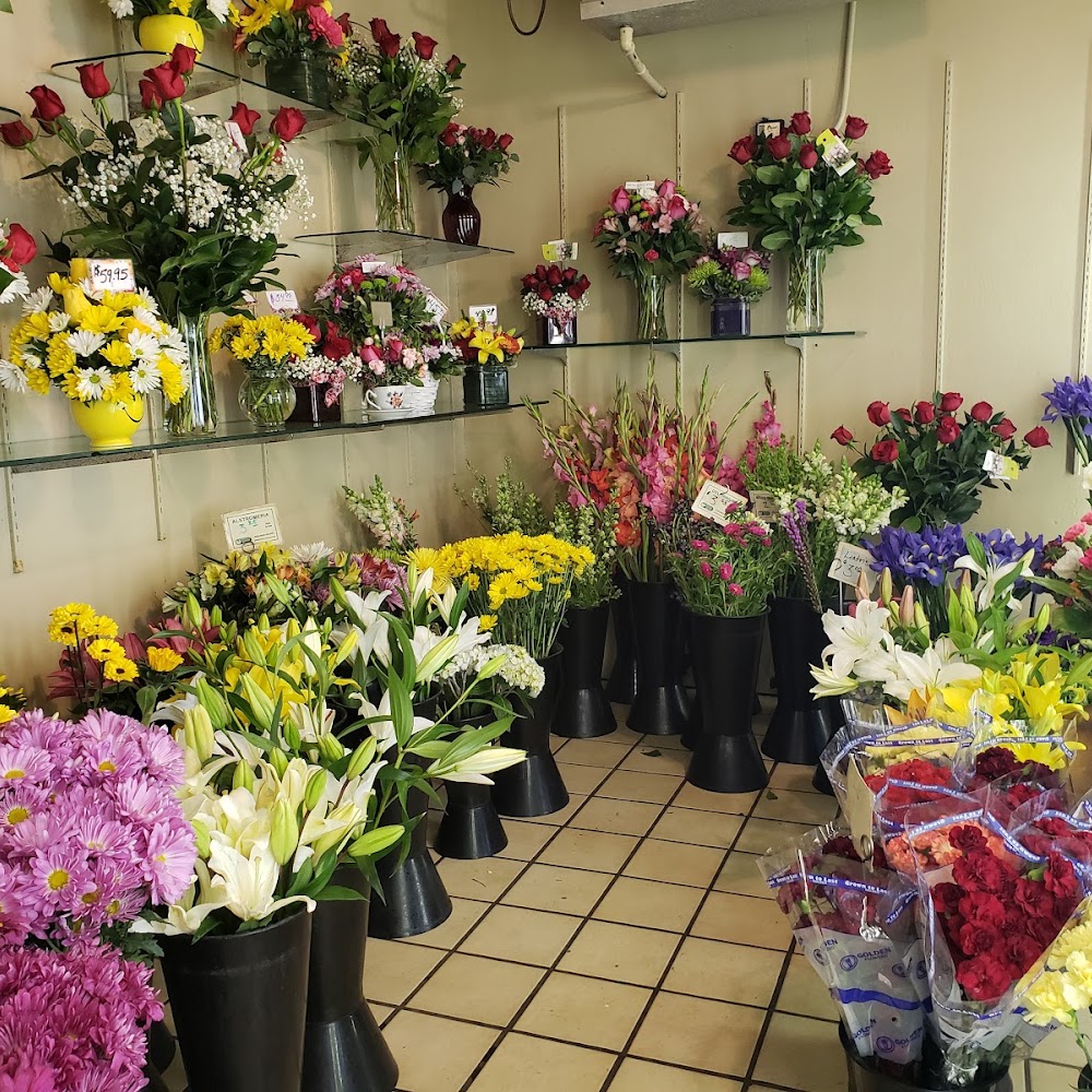 Phoenix Flower Shops