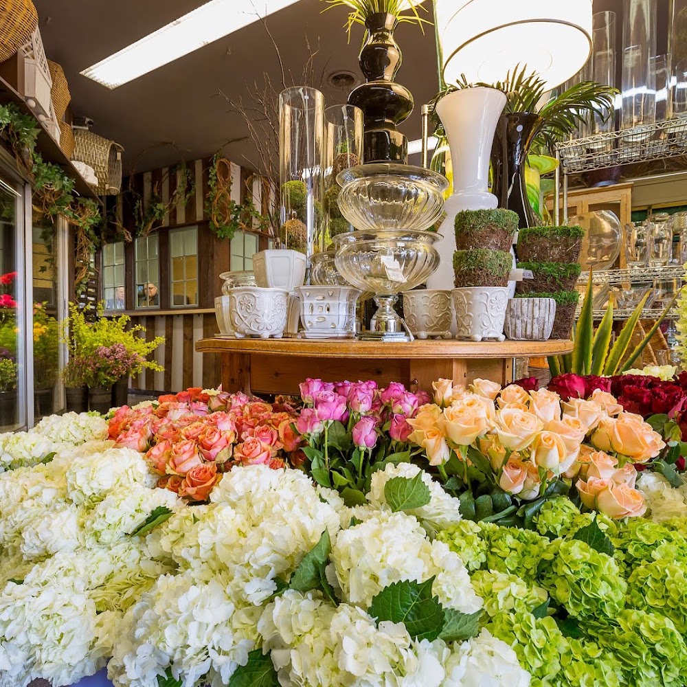 Steve's Flower Market