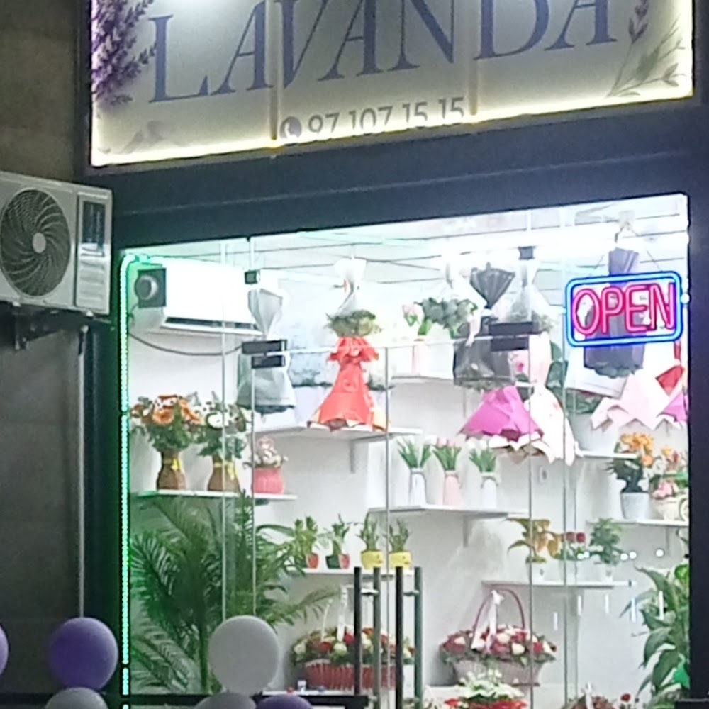 Lavanda