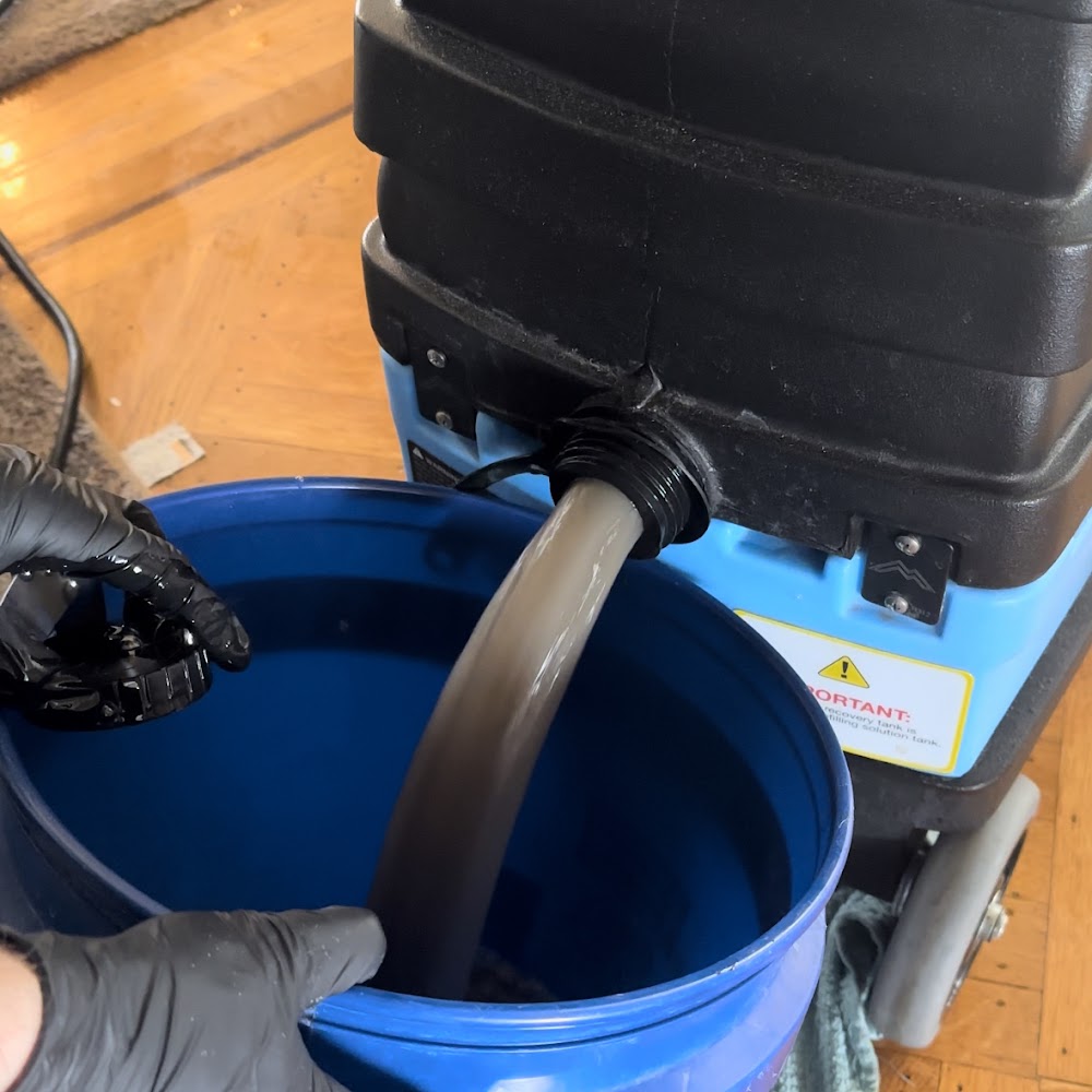 sf steamsweep Couch Cleaning