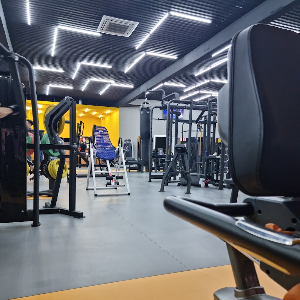 MaxFit