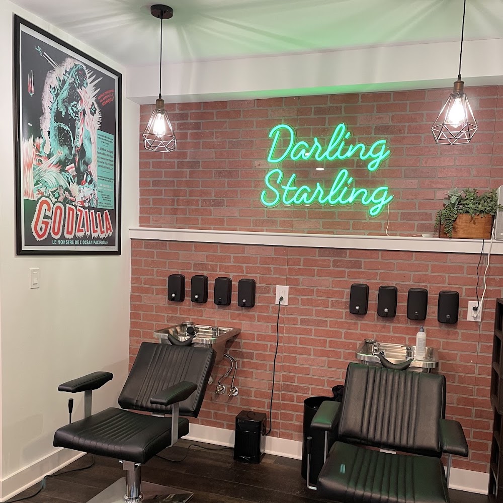 Darling Starling Salon