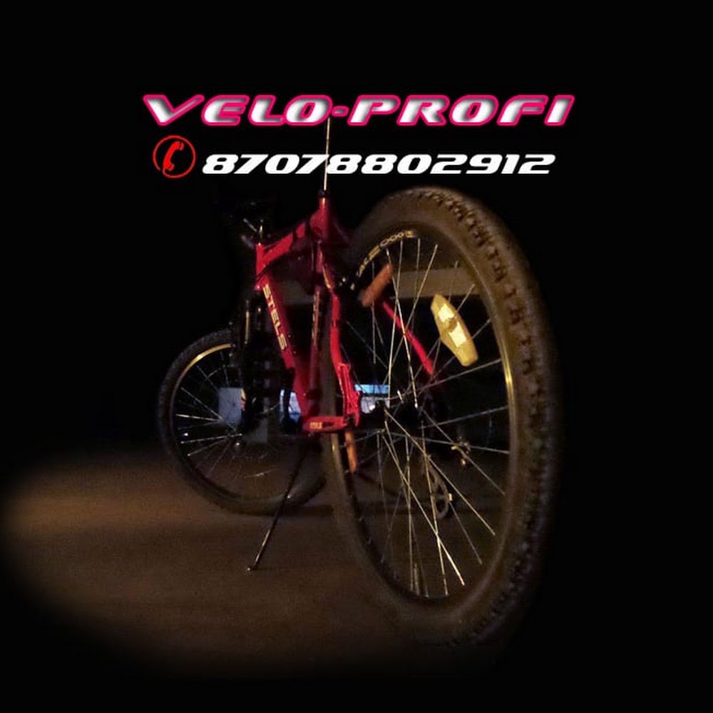 Ремонт велосипедов Velo_Profi