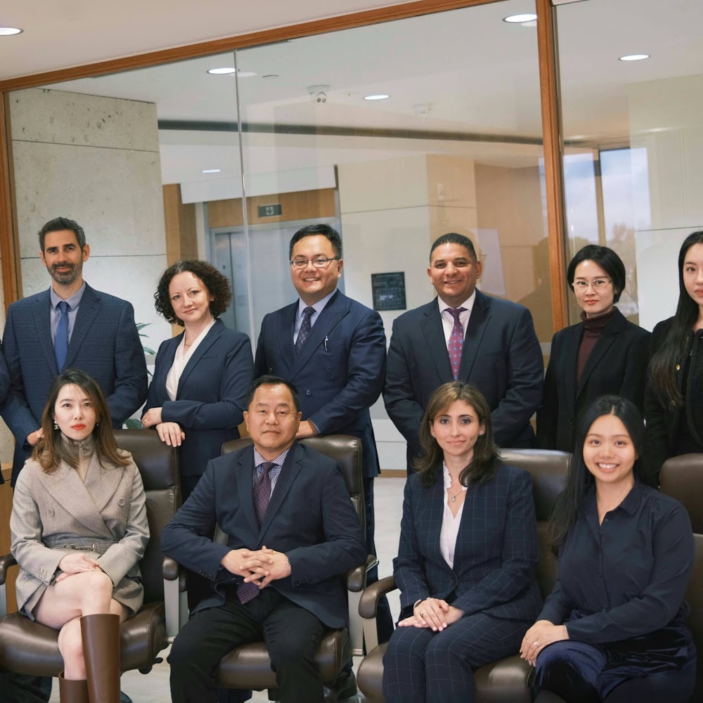 Demidchik Law Firm 安娜律师楼 (Chicago)