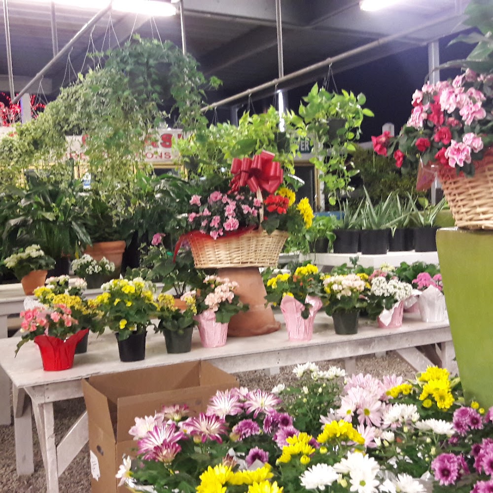 Holiday Flowers & Gifts